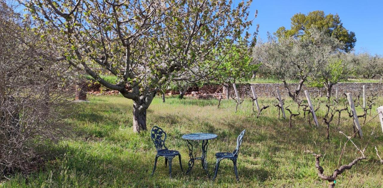 Il Vigneto Sole&Luna Con Piscina Privata Martina Franca Exterior photo